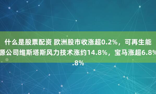 什么是股票配资 欧洲股市收涨超0.2%，可再生能源公司维斯塔斯风力技术涨约14.8%，宝马涨超6.8%