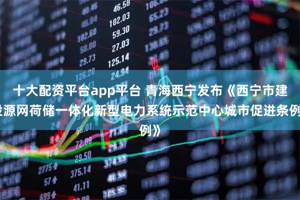 十大配资平台app平台 青海西宁发布《西宁市建设源网荷储一体化新型电力系统示范中心城市促进条例》