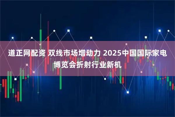 道正网配资 双线市场增动力 2025中国国际家电博览会折射行业新机