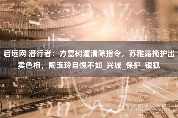 启远网 潜行者：方嘉树遭清除指令，苏雅露掩护出卖色相，陶玉玲自愧不如_兴城_保护_银狐